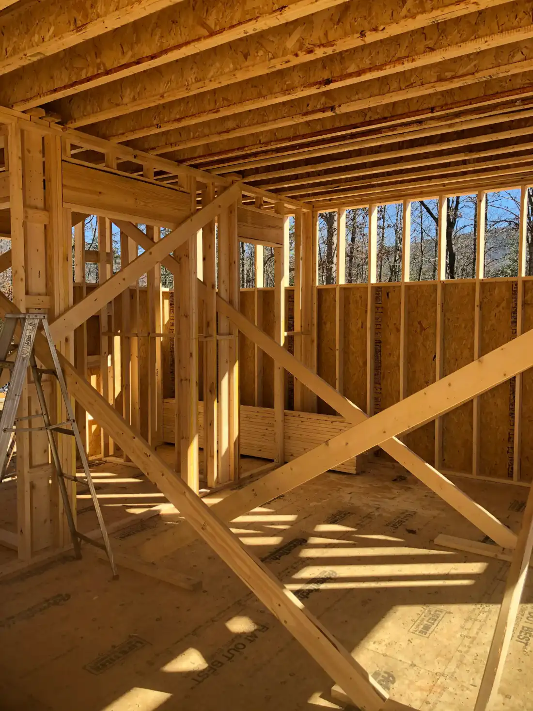 Project Photo 19